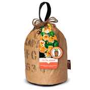 Kits Florido - Capucine 'Tip Top Albricoque'